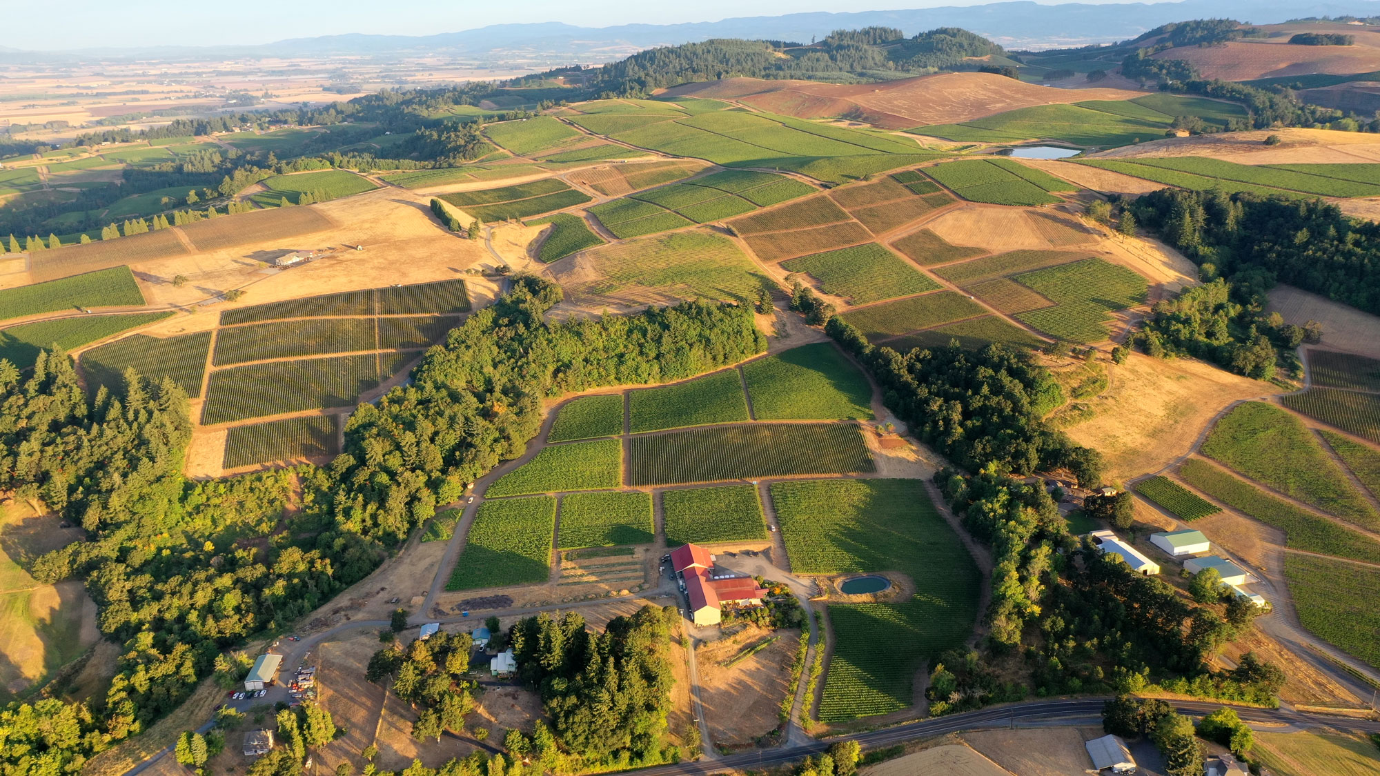 Cristom vineyards from the air